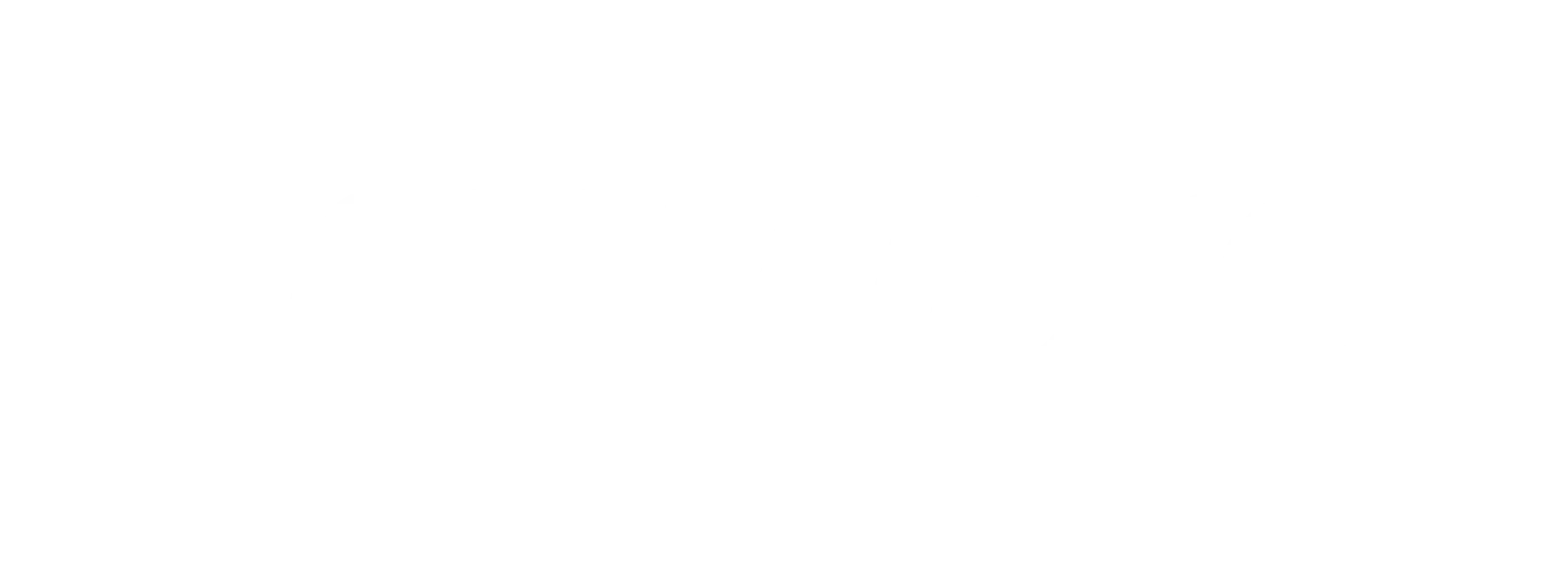 vmw-logo-vmware-logo-white-300